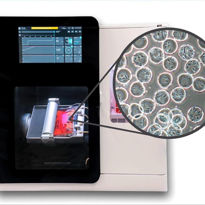 bioreactor scinus cell expansion