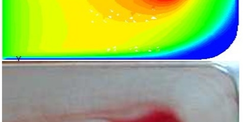 CFD-Analyse der Erwärmung des Blutflusses