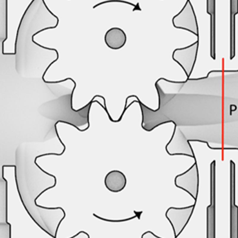 schematische Übersicht Außenzahnradpumpe