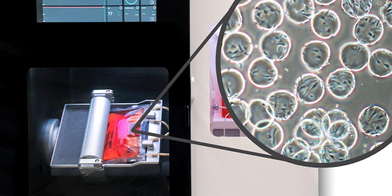 bioreactor scinus cell expansion