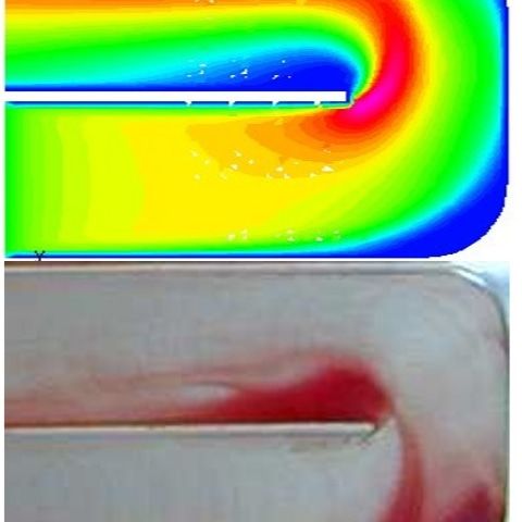CFD-Analyse der Erwärmung des Blutflusses